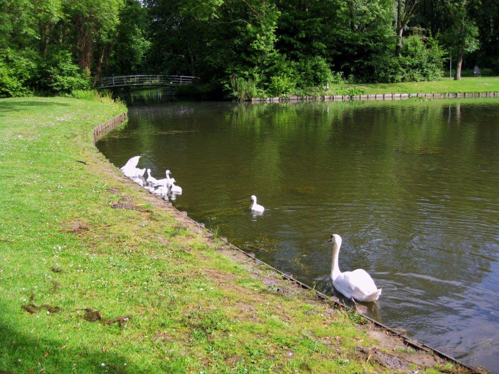 Het bruggetje, waar we later overheen liepen